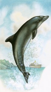 Hoppande delfin av English School