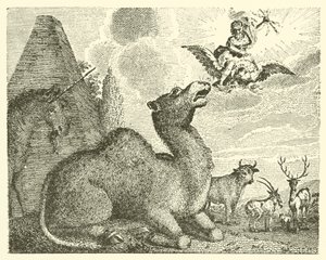 Jupiter och kamelen (gravyr) av English School