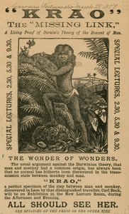 Krao, The Missing Link, utställd på Aquarium, Westminster, London, 1887 av English School