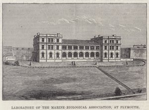Laboratory of the Marine Biological Association, i Plymouth (gravyr) av English School