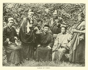 Lamor från Tibet av English School
