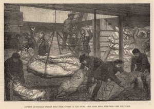Landar australiskt fryst kött i South West India Dock, Millwall av English School