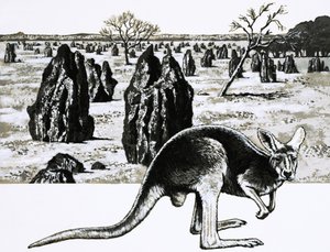 Stora termithögar nära Darwin, Australien, och en känguru i förgrunden av English School