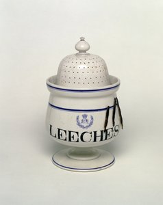 Leech burk (keramik) av English School
