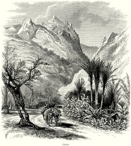 Limino (gravyr) av English School