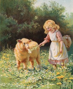 Liten flicka som matar en blomma till ett får på en äng (chromolitho) av English School
