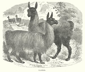 Flammor (gravyr) av English School