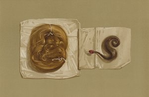 Lock of Hair of Mary Queen of Scots, Lock of Hair of King Charles I (chromolitho) av English School