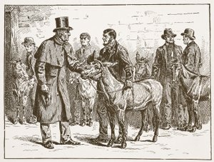 Lord Shaftesbury inspekterar en costermongers Donkey Show, illustration från The Church of England: A History for the People av H.D.M. Spence-Jones, pub. ca 1910 (sepiafoto) av English School