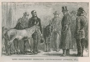 Lord Shaftesbury inspekterar åsnor från åsnor av English School