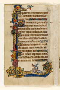 MS 1-2005, fol. 115v: En kanin som rider på en hund, jagar, marginaldekoration från Macclesfield Psalter, Use of Sarum, East Anglia, ca 1330 av English School