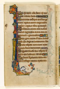 MS 1-2005, fol. 47v: En grotesk, marginell dekoration från Macclesfield Psalter, Use of Sarum, East Anglia, c.1330 av English School