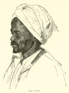 Nubian man av English School