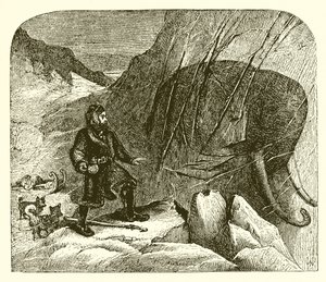 Mammut i isen av English School