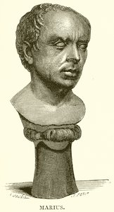 Marius av English School