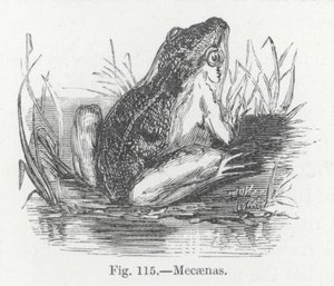 Mecaenas (gravyr) av English School