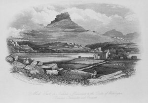 Moel Gest, eller Nature