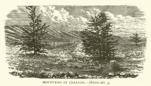 Libanons berg, Hosea, xiv, 5 (gravyr) av English School