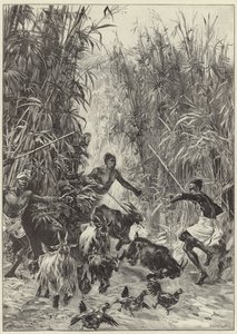 Mr H. M. Stanleys Emin Pasha hjälpexpedition