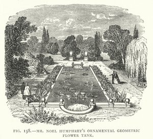 Mr Noel Humphreys dekorativa geometriska blomtank (gravyr) av English School