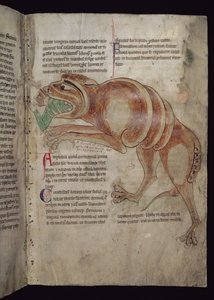 Ms.254 f.24 r Cocodrillus sväljer en man av English School