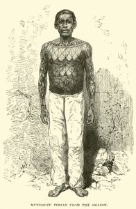 Mundrucu indian från Amazonas av English School