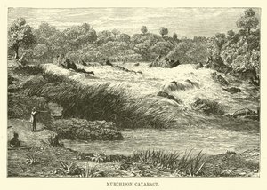 Murchison Cataract av English School