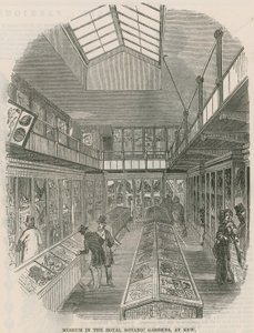 Museum i Royal Botanic Gardens, Kew av English School