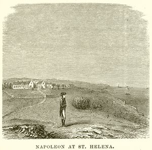 Napoleon vid S:t Helena av English School