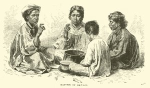 Infödda på Hawaii av English School