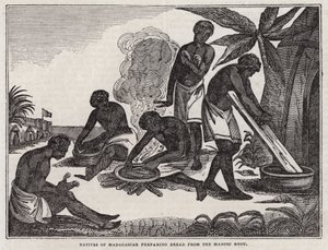 Infödda på Madagaskar förbereder bröd från maniokrot (gravyr) av English School