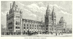 Natural History Museum, South Kensington (gravyr) av English School