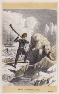Nelson möter en björn (färgad gravyr) av English School