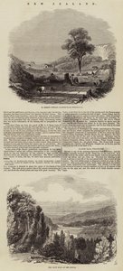 Nya Zeeland (gravyr) av English School