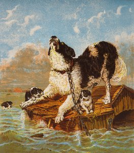 Newfoundlandshund och valpar i fara (färglitografi) av English School