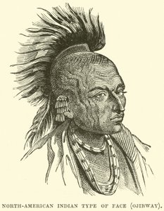 Nordamerikansk indisk ansiktstyp, Ojibway av English School