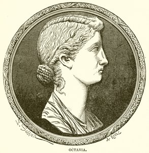 Octavia av English School