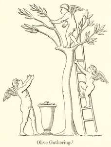 Olive Gathering av English School