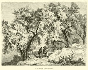Olive Grove nära Venafro av English School