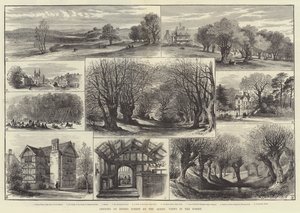 Invigning av Epping Forest by the Queen, Views in the Forest (gravyr) av English School