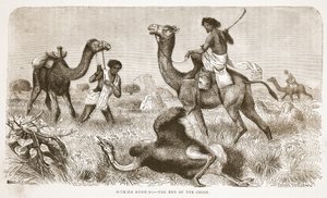 Strutsjakt - slutet på jakten, illustration från The Pictorial Edition of the Life and Discoveries of David Livingstone av J. Ewing Richie, pub. av A. Fullarton & Co., 1876 av English School