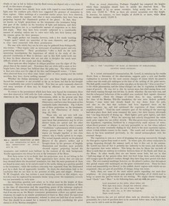 Vår nära granne, Mars (litho) av English School