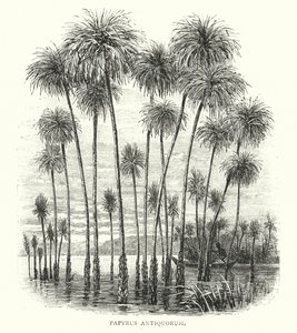 De gamlas papyrus (gravyr) av English School