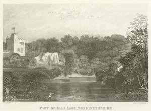En del av Bala Lake, Merionethshire (gravyr) av English School