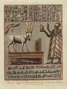 En del av ett egyptiskt manuskript som hittats i en mumie av English School