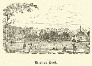 Peerless Pool (gravyr) av English School