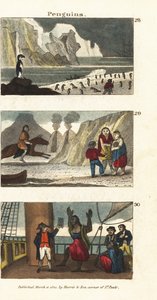 Pingviner i Sydamerika 28, patagoniska jättar i djurskinn 29 och patagonier förtjusta av åsynen av en spegel på kapten Samuel Wallis skepp 30 av English School