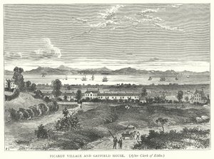 Picardy Village och Gayfield House (gravyr) av English School