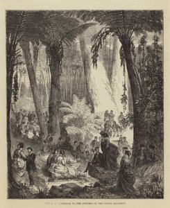 Picknick i Australien till Officers of the Flying Squadron (gravyr) av English School