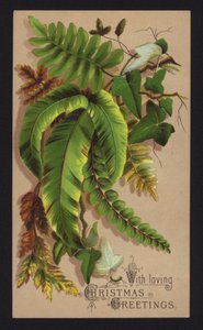 Växtblad, julkort, sent 1800-tal eller tidigt 1900-tal (chromolitho) av English School
